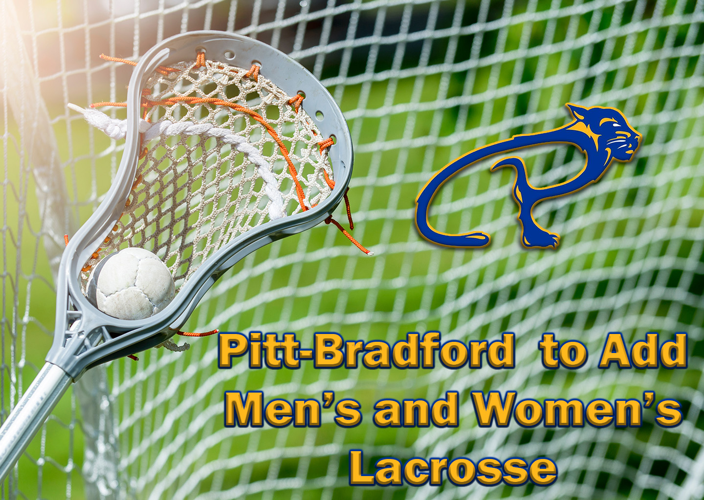Pitt-Bradford to Add Men's and Women's Lacrosse